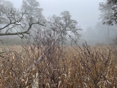 Waterfront Property for Sale, Hyde County NC - image 45