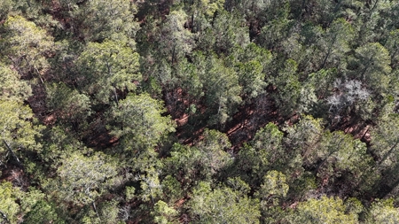 Waterfront Property for Sale, Hyde County NC - image 30
