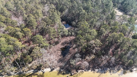 Waterfront Property for Sale, Hyde County NC - image 21