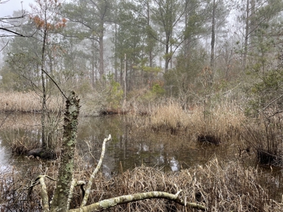 Waterfront Property for Sale, Hyde County NC - image 36