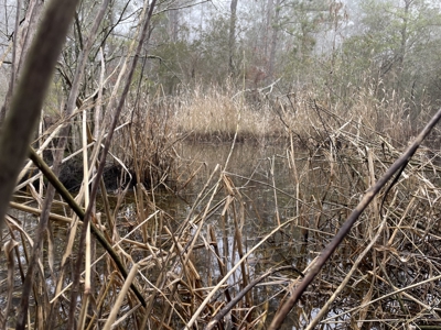Waterfront Property for Sale, Hyde County NC - image 39
