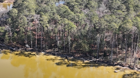Waterfront Property for Sale, Hyde County NC - image 27