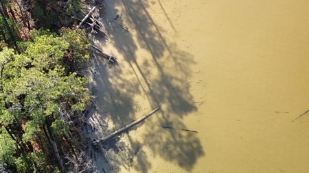 Waterfront Property for Sale, Hyde County NC - image 20