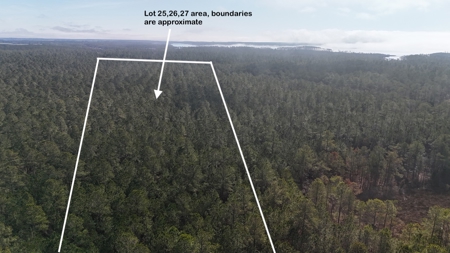 Waterfront Property for Sale, Hyde County NC - image 4