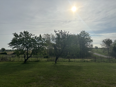 🌿 Country Living + Cash Flow – 19.3 Acres with Shouse & Rental - image 7