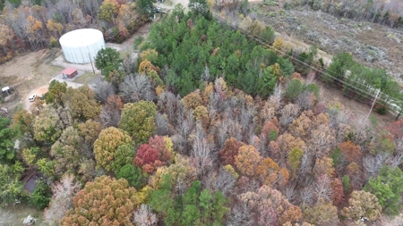 Land For Sale In Tn. Hardwoods, 3.45 Acres+/- Selmer, Tn - image 16