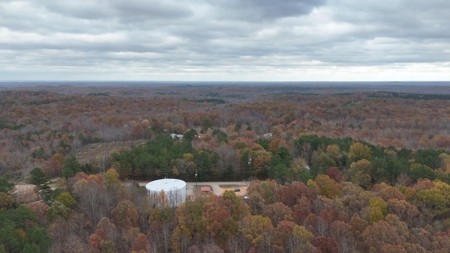 Land For Sale In Tn. Hardwoods, 3.45 Acres+/- Selmer, Tn - image 8