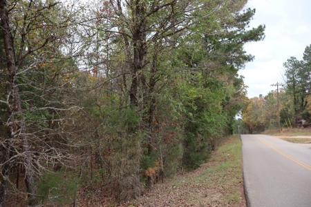 Land For Sale In Tn. Hardwoods, 3.45 Acres+/- Selmer, Tn - image 10
