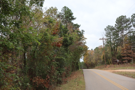 Land For Sale In Tn. Hardwoods, 3.45 Acres+/- Selmer, Tn - image 11