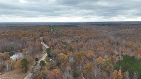 Land For Sale In Tn. Hardwoods, 3.45 Acres+/- Selmer, Tn - image 19