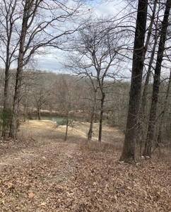 Hunting/Recreational Land In Sharp County Arkansas - image 1