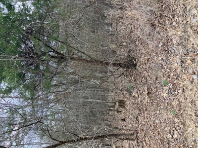 Hunting/Recreational Land In Sharp County Arkansas - image 4