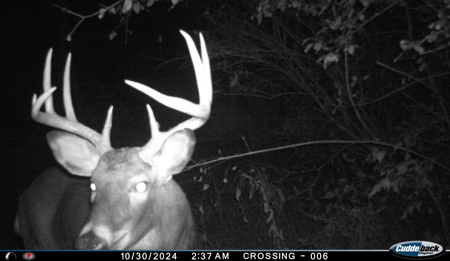 Discover S790 Wrobel Road Chaseburg Wisconsin - image 30