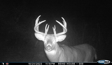 Discover S790 Wrobel Road Chaseburg Wisconsin - image 25