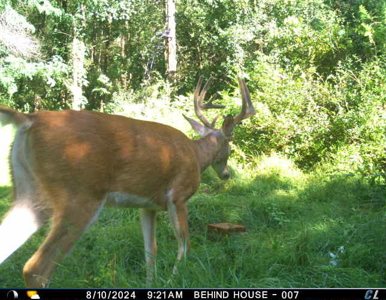Discover S790 Wrobel Road Chaseburg Wisconsin - image 32