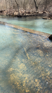 Nashoba, Ok Land For Sale - Hardy Creek Estates Tract #9 - image 10