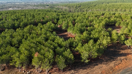 Nashoba, Ok Land For Sale - Hardy Creek Estates Tract #13 - image 2