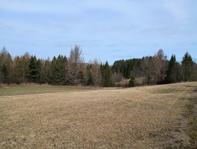 Country Home with Acreage for Sale in Butternut, Wisconsin - image 46