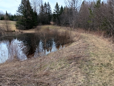 Country Home with Acreage for Sale in Butternut, Wisconsin - image 48
