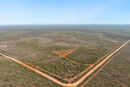 25 Acres Hunting and Recreational Property for sale Jim Wells County, TX - image 7