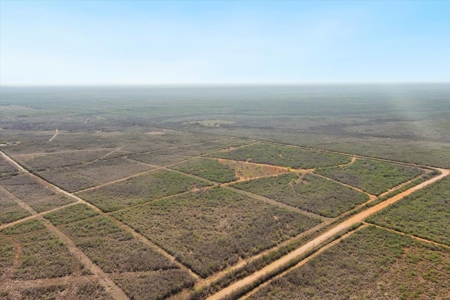 25 Acres Hunting and Recreational Property for sale Jim Wells County, TX - image 6