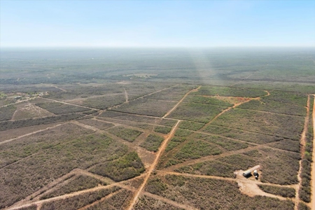 25 Acres Hunting and Recreational Property for sale Jim Wells County, TX - image 5
