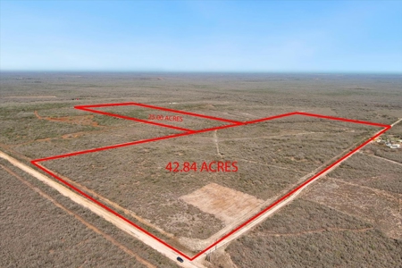 25 Acres Hunting and Recreational Property for sale Jim Wells County, TX - image 8