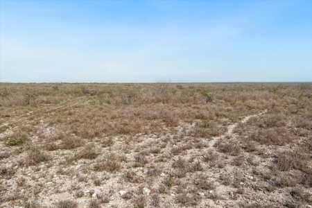 25 Acres Hunting and Recreational Property for sale Jim Wells County, TX - image 2