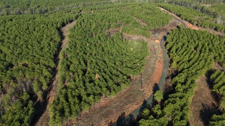 Nashoba, Ok Land For Sale - Hardy Creek Estates Tract #8 - image 1