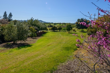 Golden Bear Estates Country Home & 2 Shops in Winters, CA for Sale - image 49