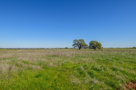 Golden Bear Estates Country Home & 2 Shops in Winters, CA for Sale - image 11