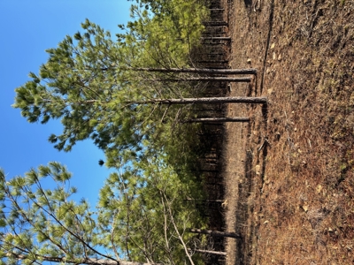 Nashoba, Ok Land For Sale - Hardy Creek Estates Tract #7 - image 1