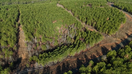 Nashoba, Ok Land For Sale - Hardy Creek Estates Tract #7 - image 3