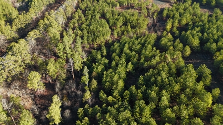 Nashoba, Ok Building Lots For Sale / Hardy Creek Estates Tract #4 - image 2