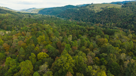 Secluded Riverfront Paradise in East Tennessee's Wilderness - image 11