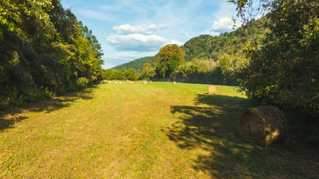 Secluded Riverfront Paradise in East Tennessee's Wilderness - image 17