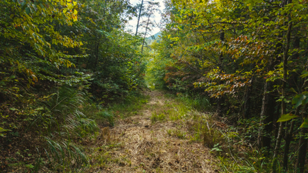 Secluded Riverfront Paradise in East Tennessee's Wilderness - image 18