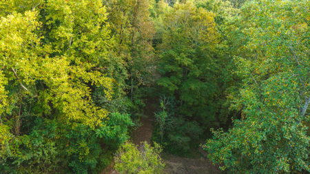 Secluded Riverfront Paradise in East Tennessee's Wilderness - image 21