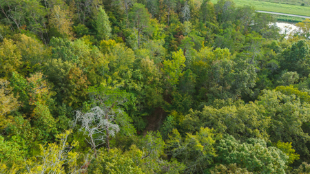 Secluded Riverfront Paradise in East Tennessee's Wilderness - image 22