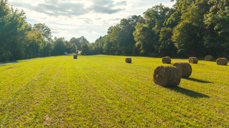 Secluded Riverfront Paradise in East Tennessee's Wilderness - image 26