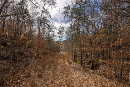 Online-Only Auction – Clinch Riverfront Unrestricted Land Hancock County Tennessee - image 49