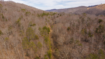 Online-Only Auction – Clinch Riverfront Unrestricted Land Hancock County Tennessee - image 25