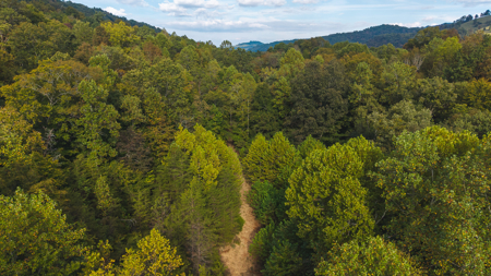 Secluded Riverfront Paradise in East Tennessee's Wilderness - image 4