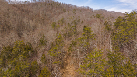 Online-Only Auction – Clinch Riverfront Unrestricted Land Hancock County Tennessee - image 23
