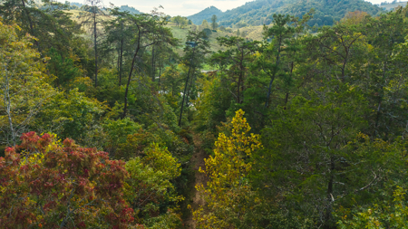 Secluded Riverfront Paradise in East Tennessee's Wilderness - image 13