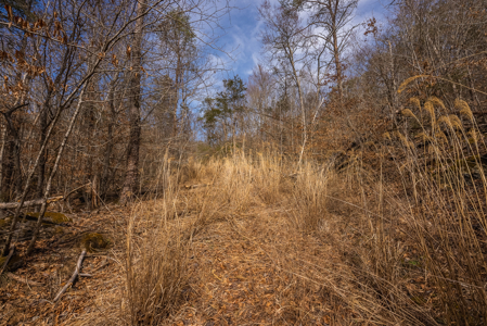Online-Only Auction – Clinch Riverfront Unrestricted Land Hancock County Tennessee - image 48