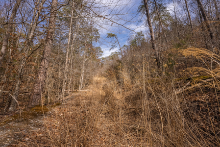 Online-Only Auction – Clinch Riverfront Unrestricted Land Hancock County Tennessee - image 45