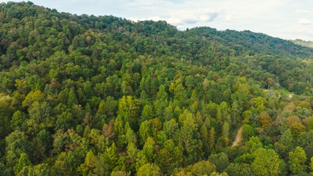 Secluded Riverfront Paradise in East Tennessee's Wilderness - image 12