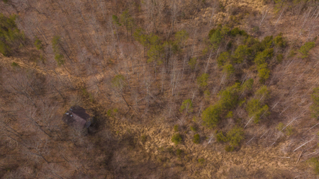 Online-Only Auction – Clinch Riverfront Unrestricted Land Hancock County Tennessee - image 35