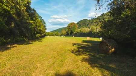 Secluded Riverfront Paradise in East Tennessee's Wilderness - image 27